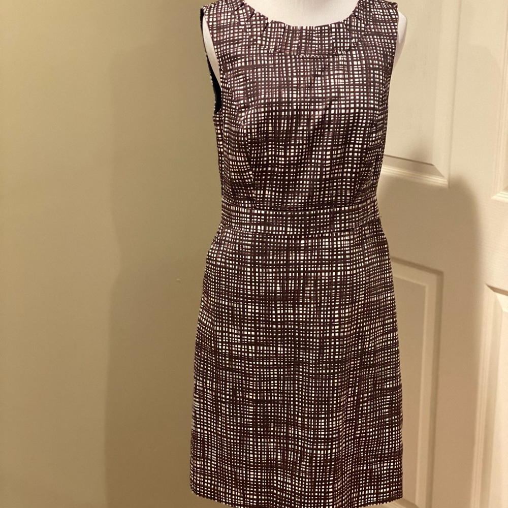The Limited New Dress